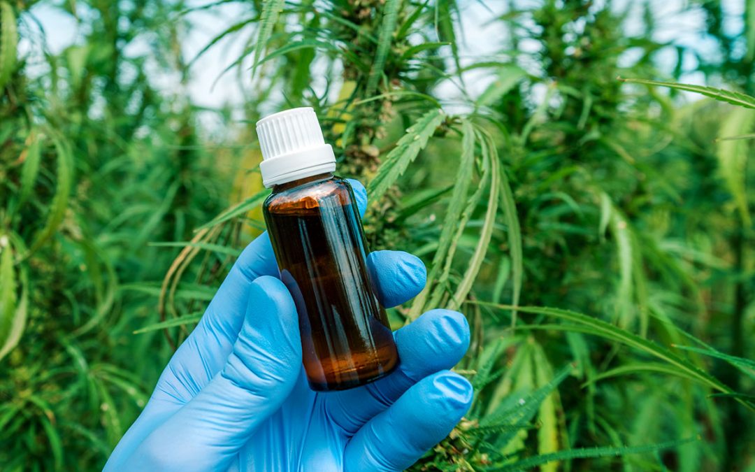 Myths about CBD Oil (Infographic)