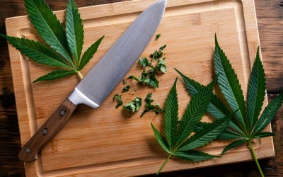 Cooking with CBD Revisited – Infographic
